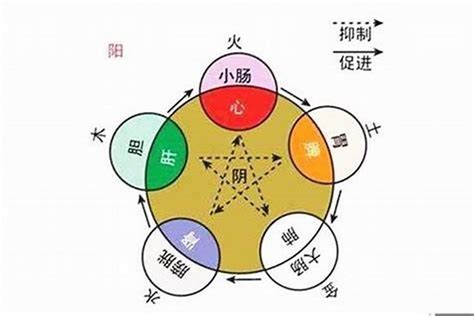 人的五行屬性|如何知道一個人的五行屬什么